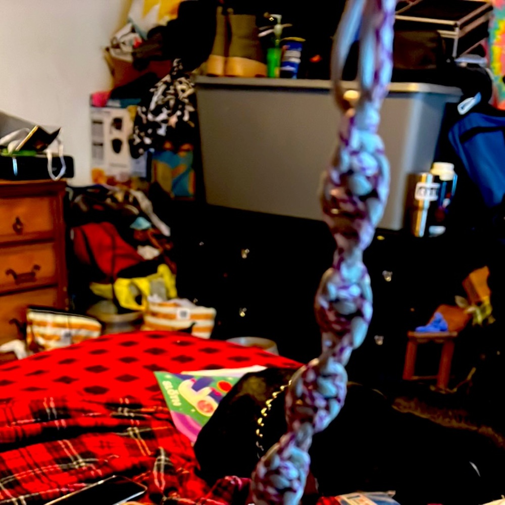 Paracord lanyard